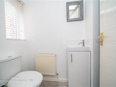 Picture 20